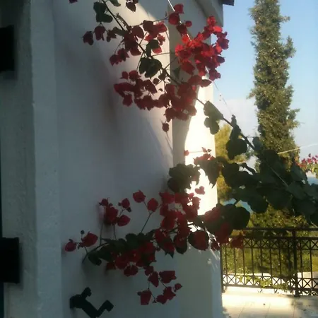 Metoxi Agistri *